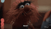 Confused The Muppets GIF by ABC Network