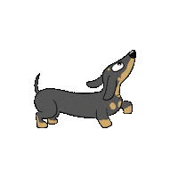Look Up Sausage Dog Sticker