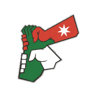 Celebration Flag Sticker by All Jordan Youth Commission