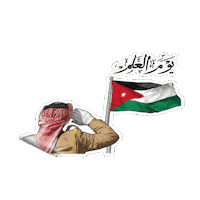 Hashemite Kingdom Of Jordan Celebration Sticker by All Jordan Youth Commission