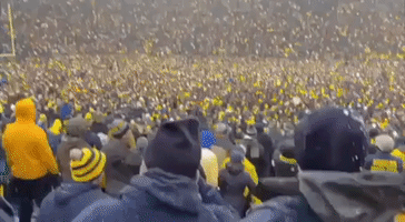Michigan Fans Flood Football Field Following Win Against Ohio