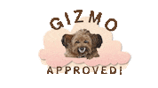 Hair Gizmo Sticker by NuMeStyle