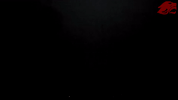 soccer GIF by CUCougars