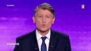vincent peillon GIF by franceinfo