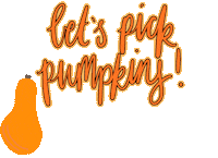 Pumpkin Newfallz Sticker by zoellabeauty