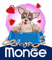 Pet Chihuahua Sticker by Mongepet