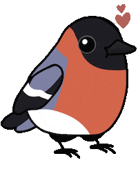Bird Vogel Sticker
