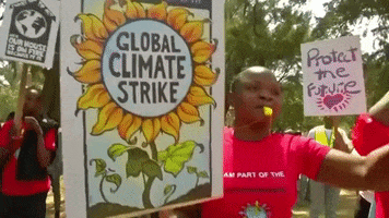 protest climate change global climate strike climate protest GIF