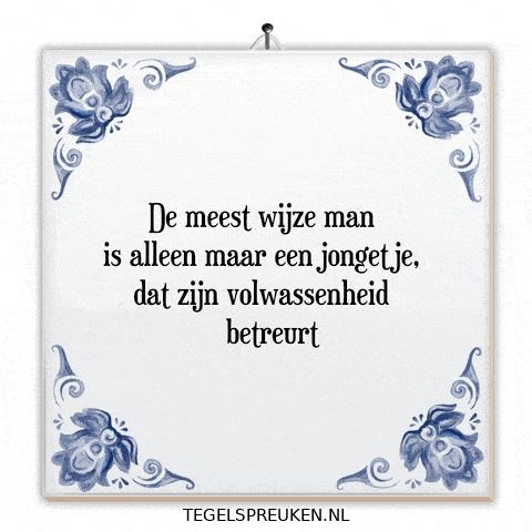 Humor Wijsheid GIF by Tegelspreuken.nl