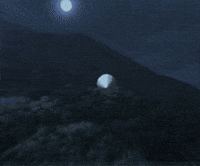 Conan Ran GIF