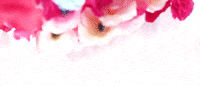 Fueled By Ramen Flower GIF by Meet Me @ The Altar