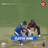 Chennai Super Kings Ipl GIF