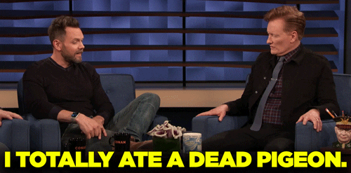 Joel Mchale GIF by Team Coco