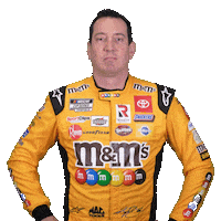 Look Up Kyle Busch Sticker by Joe Gibbs Racing