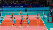Brazil Save GIF by Volleyball World