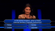 Wwtbams5E515 GIF by Stellify Media
