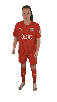schanzerinnen frauenfussball fritz nichtohnemeinemädels schanzerinnen Sticker