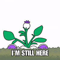 Angry I Heard You GIF by Magic Eden