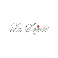 Soiree Sticker by RST Events