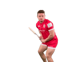 Celebration Hello Sticker by Jersey Reds