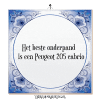 Auto Roadtrip Sticker by Tegelspreuken.nl