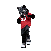 FloridaTechOfficial florida panther pete spacecoast Sticker