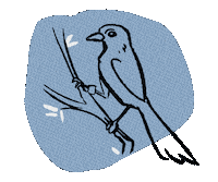 Florida Scrub Jay Sticker by Florida Wildlife Corridor Foundation