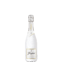 Ice Bottle Sticker by Freixenet