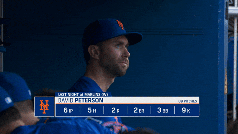 David Peterson Baseball GIF by New York Mets