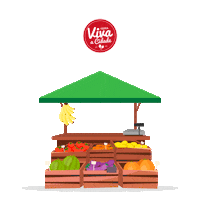 cdlflorianopolis cdlflorianopolis vivacidade viva cidade feira permanente viva cidade Sticker