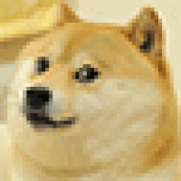 Doge Gifs For Ants GIF
