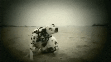 Doin Time GIF by Sublime