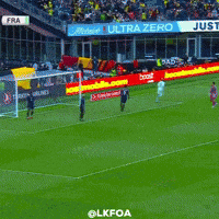 France Football GIF