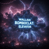 Bomboclat Niche Meme GIF