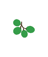 Fruit Grapes Sticker