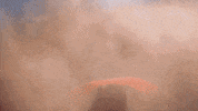 Rumbleverse flex eyebrow rumbleverse GIF