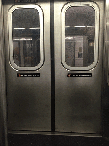 animation nyc GIF by Ryan Seslow