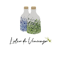 loliodivincenzo italy madeinitaly olives oliveoil Sticker