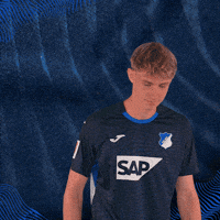 Sport Bundesliga GIF by TSG Hoffenheim