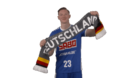 Handball-Bundesliga Sport Sticker by LIQUI MOLY HBL