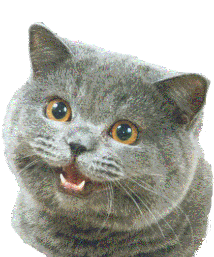 talking john cage GIF