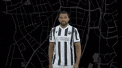 Svs1916 GIF by SV Sandhausen