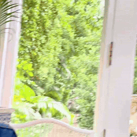 Lady M In Awe GIF