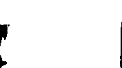 Semevinea trigo triticultura chiaro genética avançada Sticker