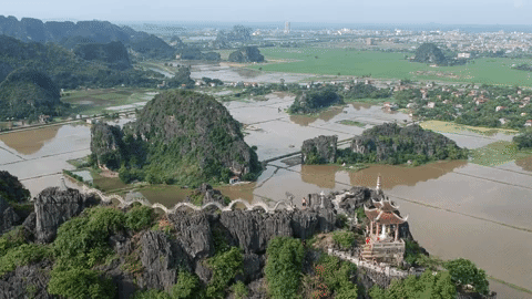 dragon adventure GIF