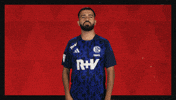 Schalke 04 Football GIF by Bundesliga