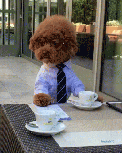 Coffee Break GIF