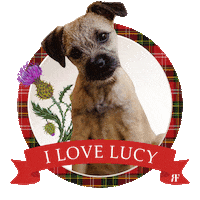 Sticker by Rocco Forte Hotels