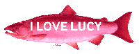 I Love Lucy Rainbow Sticker