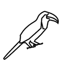 festivaldojapao Sticker by Nissan Brasil